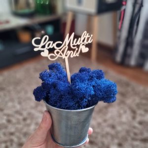 Ghiveci mic cu licheni și mesaj