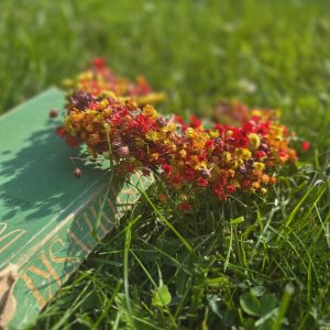 Cordeluță/ Coroniță flori uscate "Toamna mea"